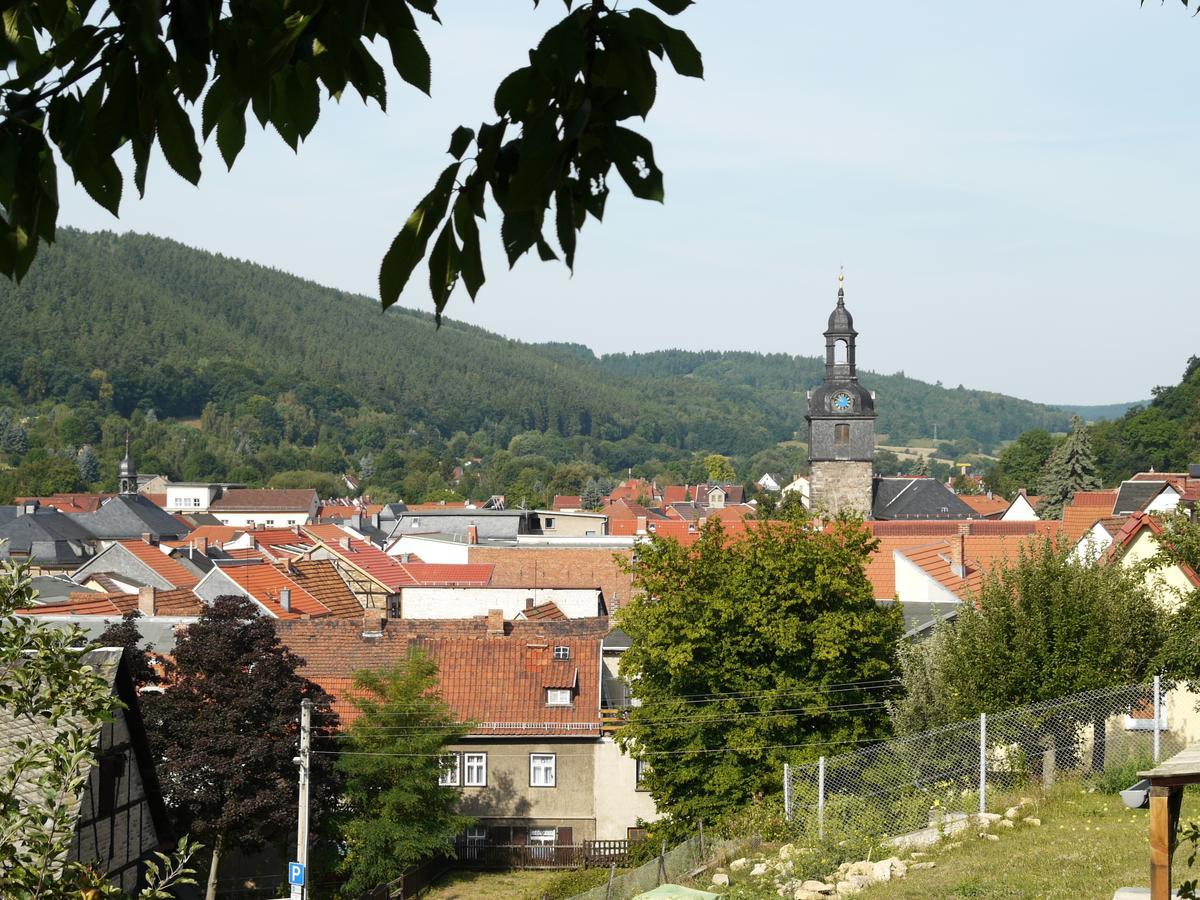 Ferienwohnung Haus "Anna" Bad Blankenburg Kültér fotó